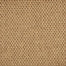 Madagascar Remix in Burnt Umber Carpet