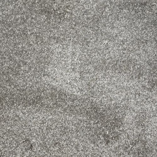 Merry in Aluminum Carpet