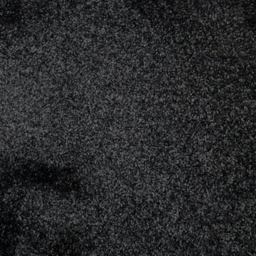 Iron