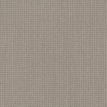 Warm Taupe