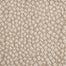 Mirage Cheetah in Barley Carpet
