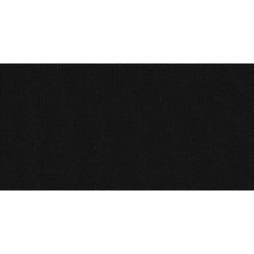 Domino Black Flat 12x24