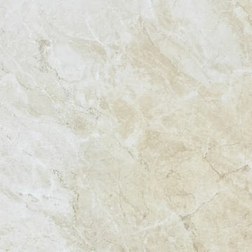 Ivory 10x16 Pressed Glossy