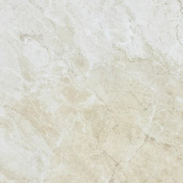 Ivory 8x10 Pressed Glossy