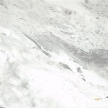 Parian White 12" X 24"