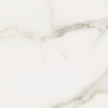 Calacatta Oro 12x24 Rect Polished