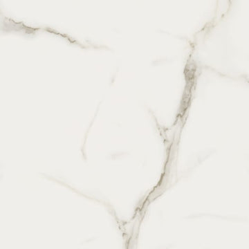 Calacatta Oro 24x24 Rect Matte