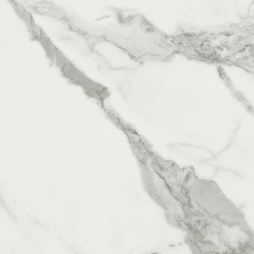 Statuario Venato 12x24 Rect Polished