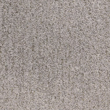 Seal Grey