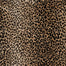 Mufasa in Bronze Carpet