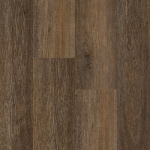 Happy Feet International in Mustang Luxury Vinyl