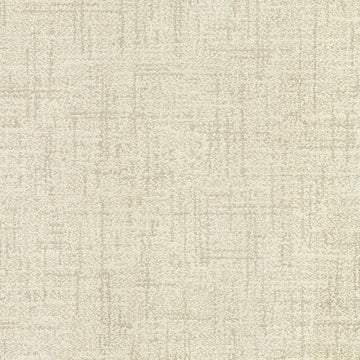 Ancient Scroll