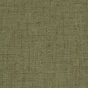 Bermuda Grass