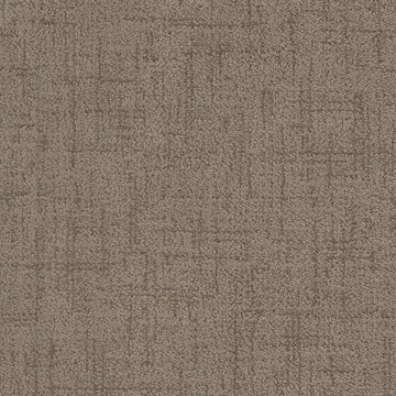 Cocoa