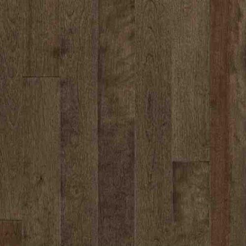 SolidClassic - Yellow Birch in Komodo - 4 In Hardwood