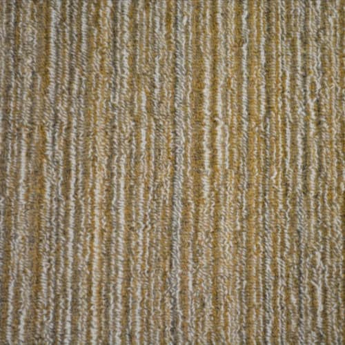 Nottingham in Burnt Orange Carpet