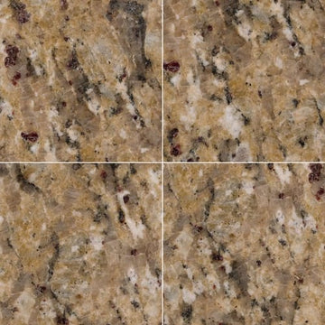 New Venetian Gold - 12x12