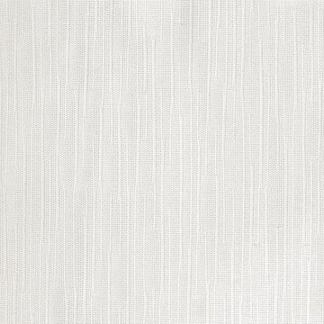 Ivory - 12x24