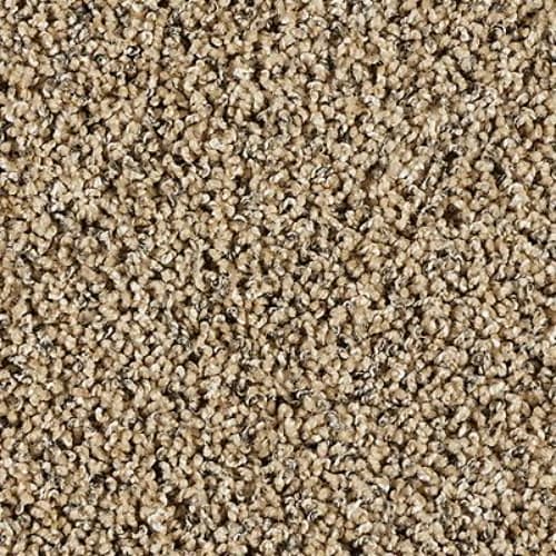 Exhilarating in Boulder Beige Carpet