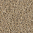 Exhilarating in Boulder Beige Carpet
