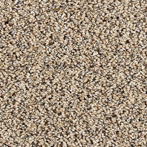 Restorative II in Boulder Beige Carpet