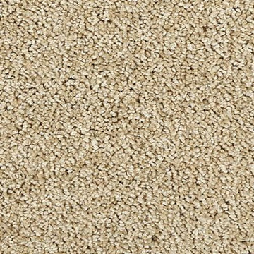 Sandy Dunes