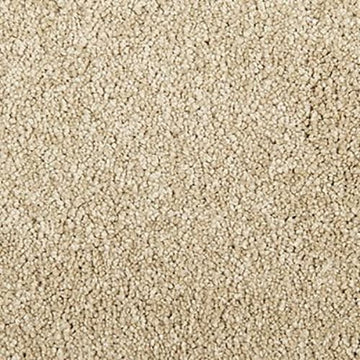 Sandy Dunes