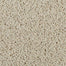 Classic Fit II in Antique White Carpet