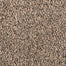 Grandeur Living in Blissful Carpet