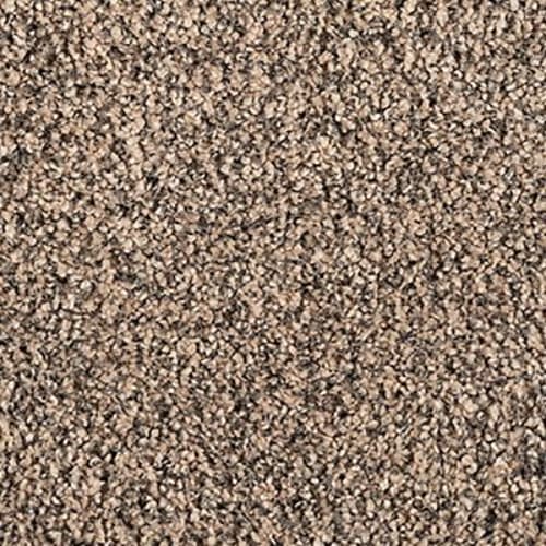 Grandeur Living in Blissful Carpet