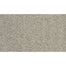 Instinctive Elegance in Aged Parchment Carpet