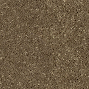 Sea Horse