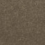 Decorative Charm in Antelope Carpet