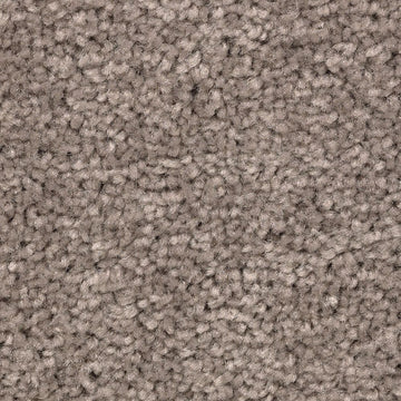 Poised Taupe