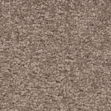 Mesquite Chip