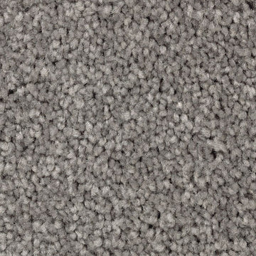 Sharkfin