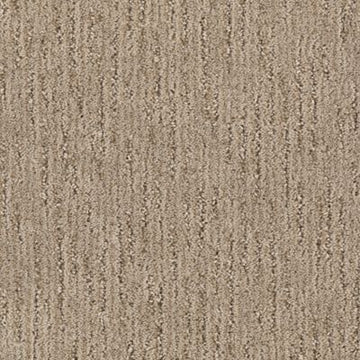 Summer Wheat