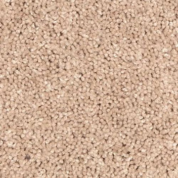 Sand Storm