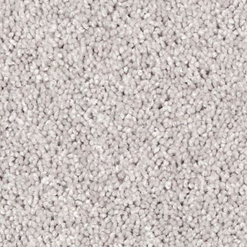 Frosted Glass