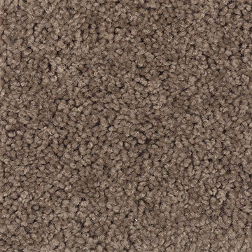 Foxfire Suede
