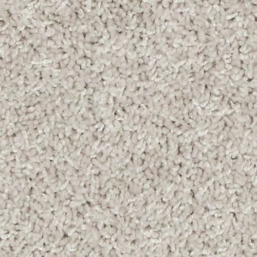 Classic Voice in Bird Bath Carpet