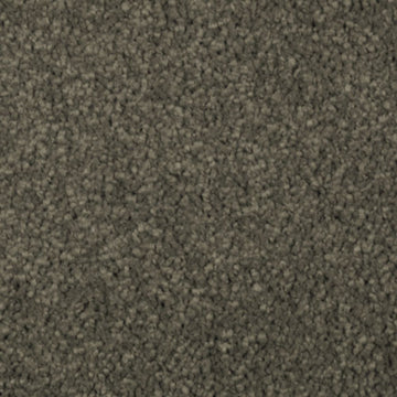 Pine Needle