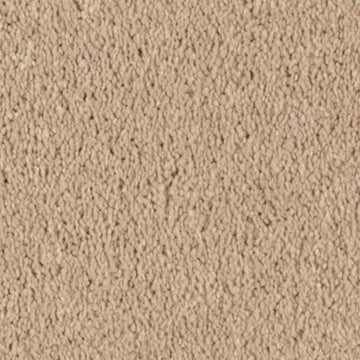 Maple Tint