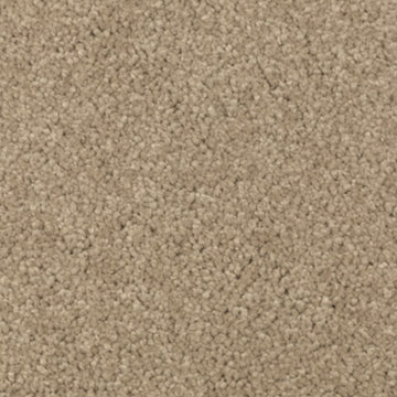 Brushed Suede