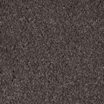 Dried Peat