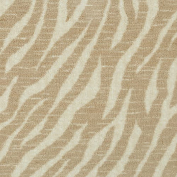 Radiant Zebra