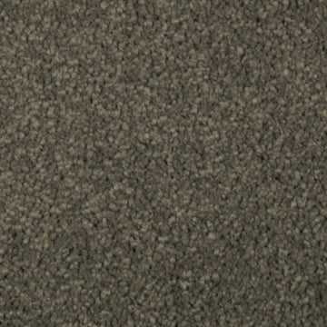 Pine Needle