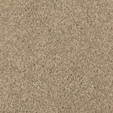 Brushed Suede