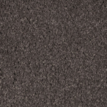Dried Peat