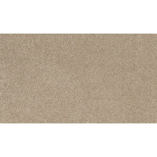 Charismatic Beauty in Almond Carpet